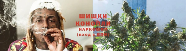 индика Абаза