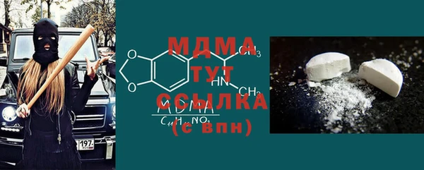 индика Абаза
