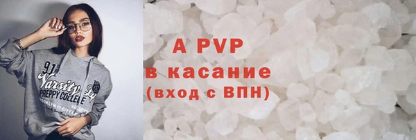 индика Абаза