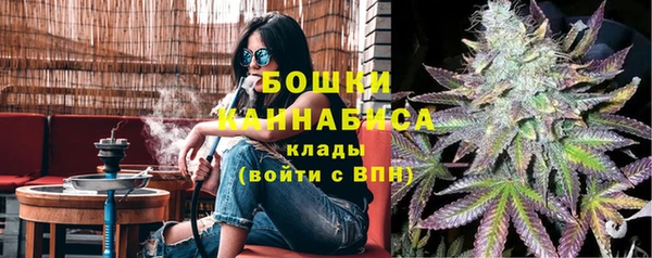 индика Абаза