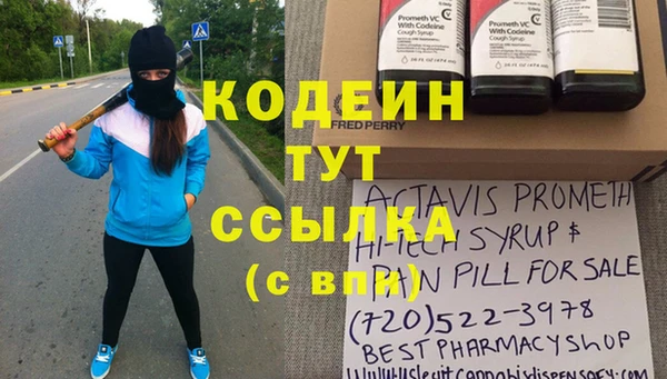 индика Абаза