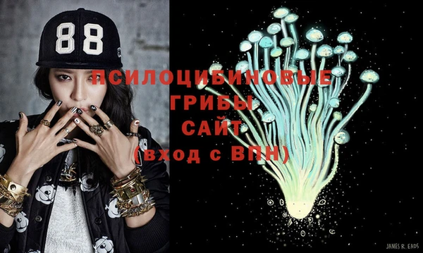 2c-b Абдулино