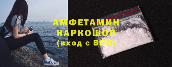 индика Абаза