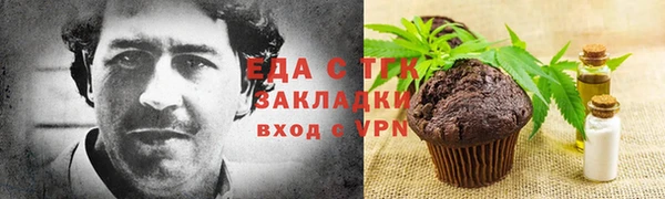 индика Абаза