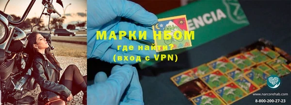 индика Абаза
